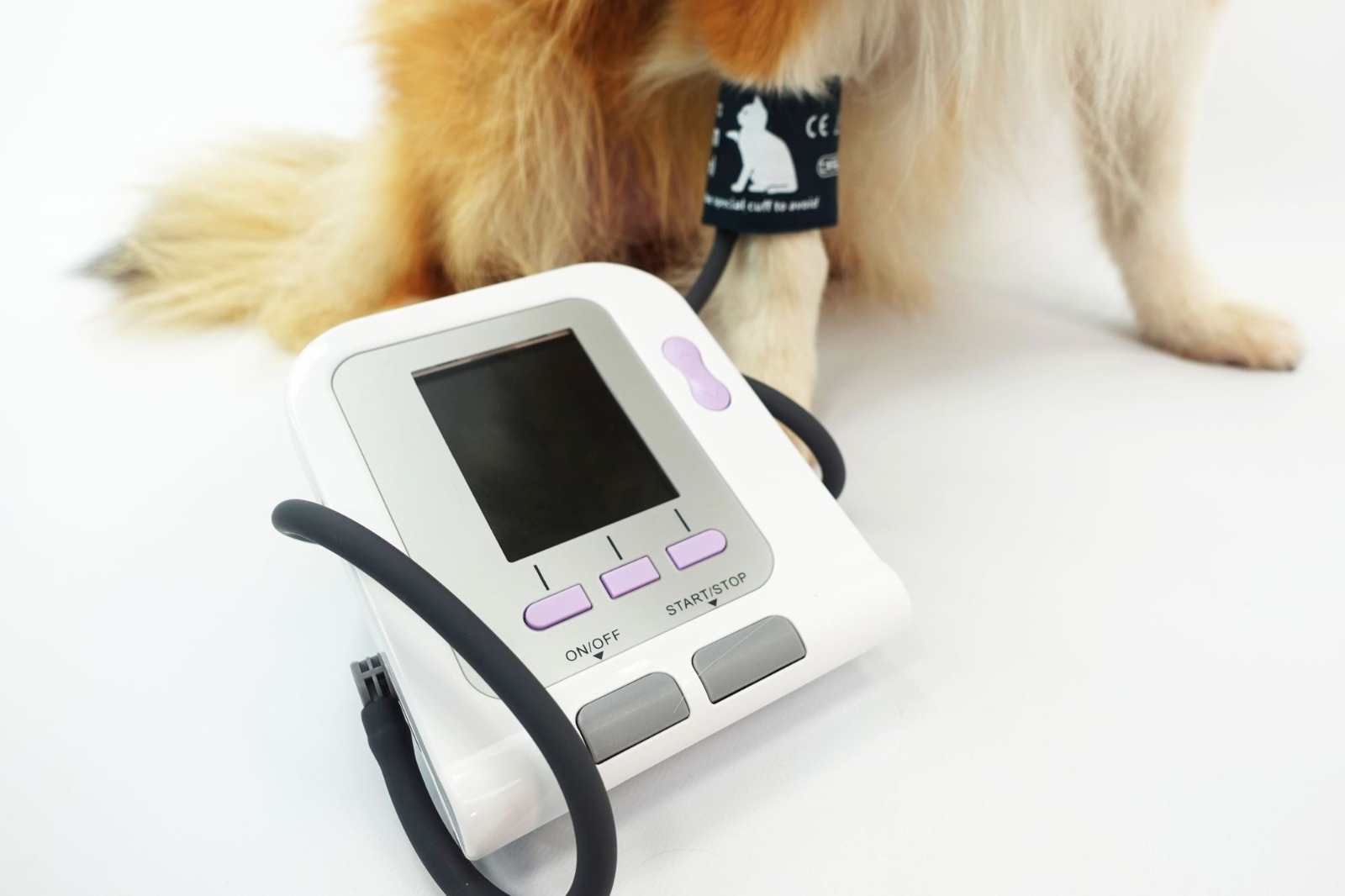 Blood Pressure Check