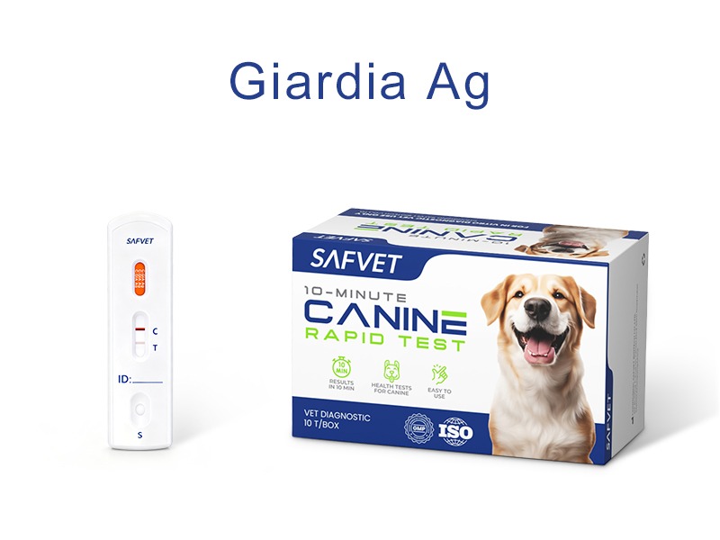 Rapid Test Giardia Dog