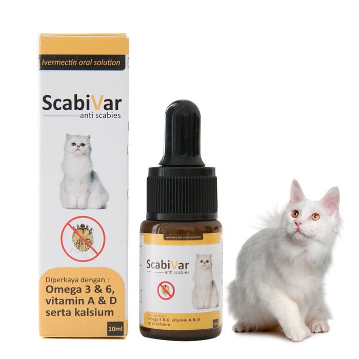 Anti Scabies Scabivar Solution