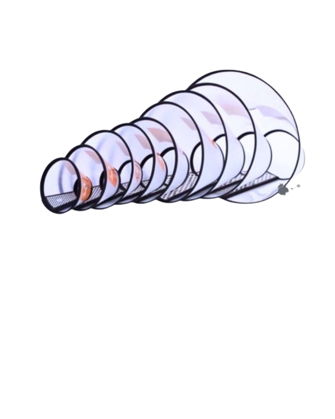 Collar No.2+